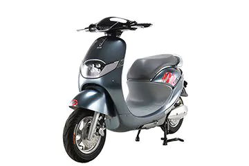 XE MÁY ĐIỆN TAILG Y5