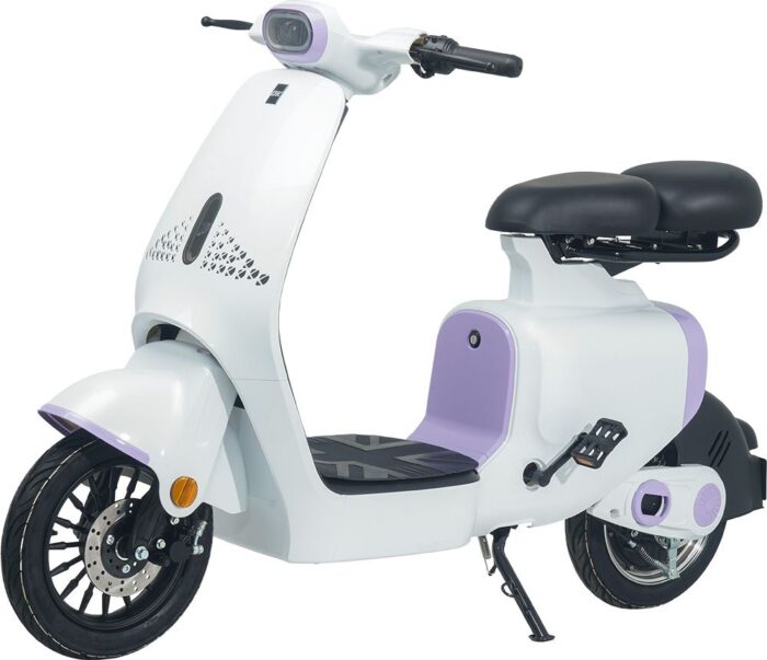 Xe đạp điện DK S1