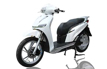 XE MÁY ĐIỆN PEGA ESP