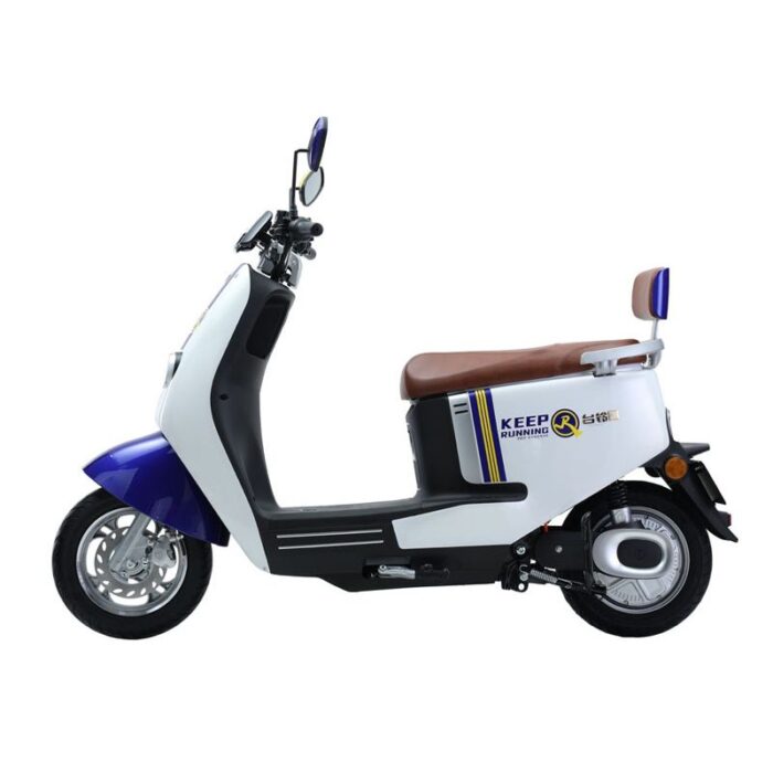 bia 1 tailg iris