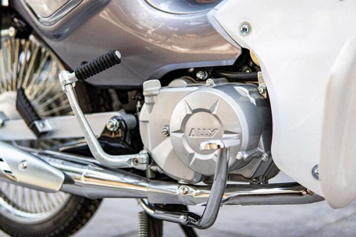 xe cub 50cc ally 3