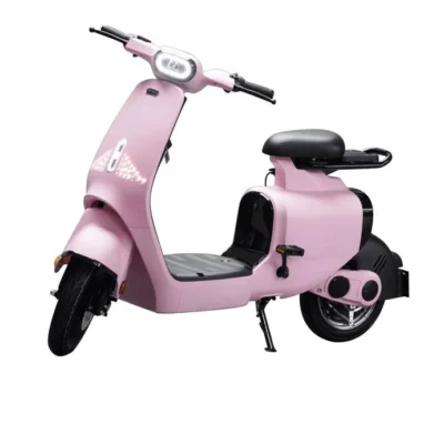 xe dap dien dkbike s hong