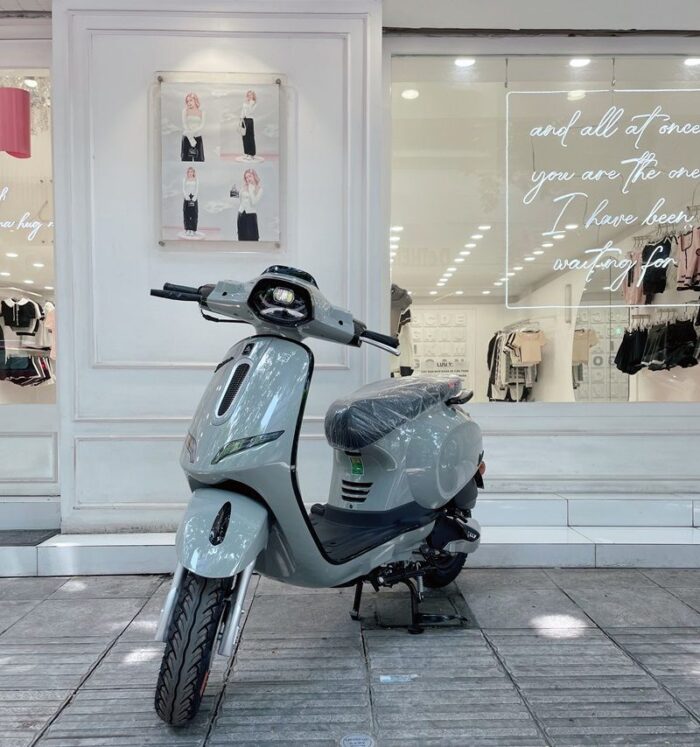 Xe ga 50cc Ally Vegas