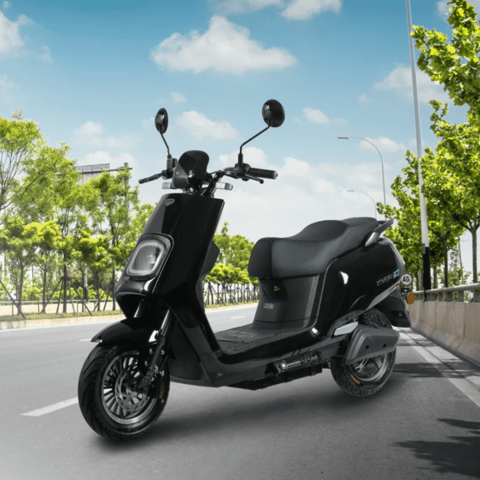 Xe Máy điện EVGO D Chính Hãng