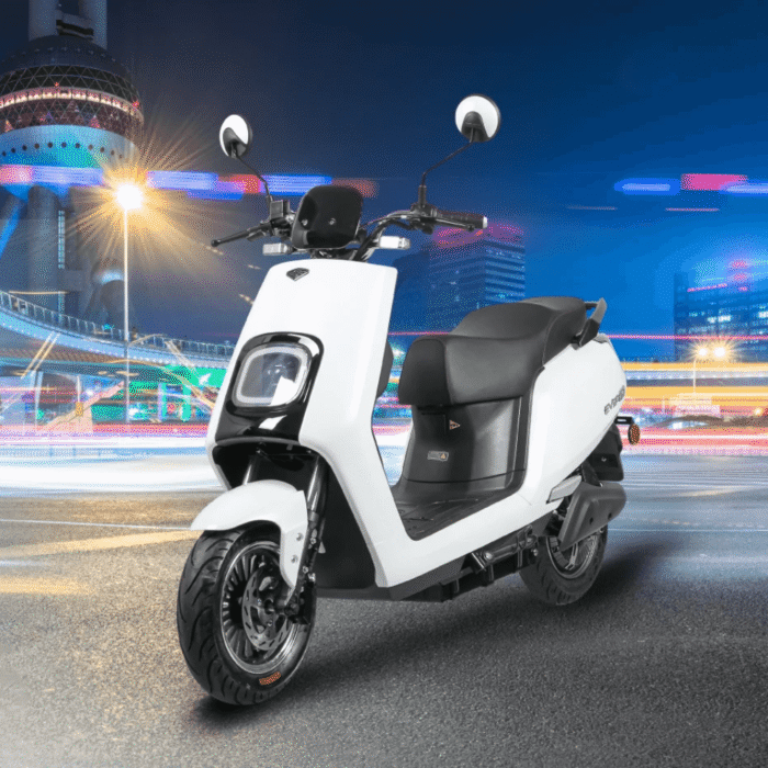 xe may dien evgo d 9