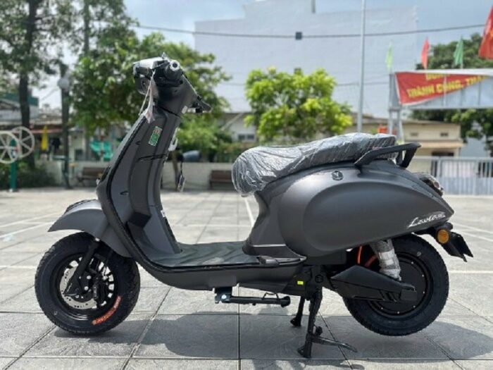 xe may dien lavia gx 1
